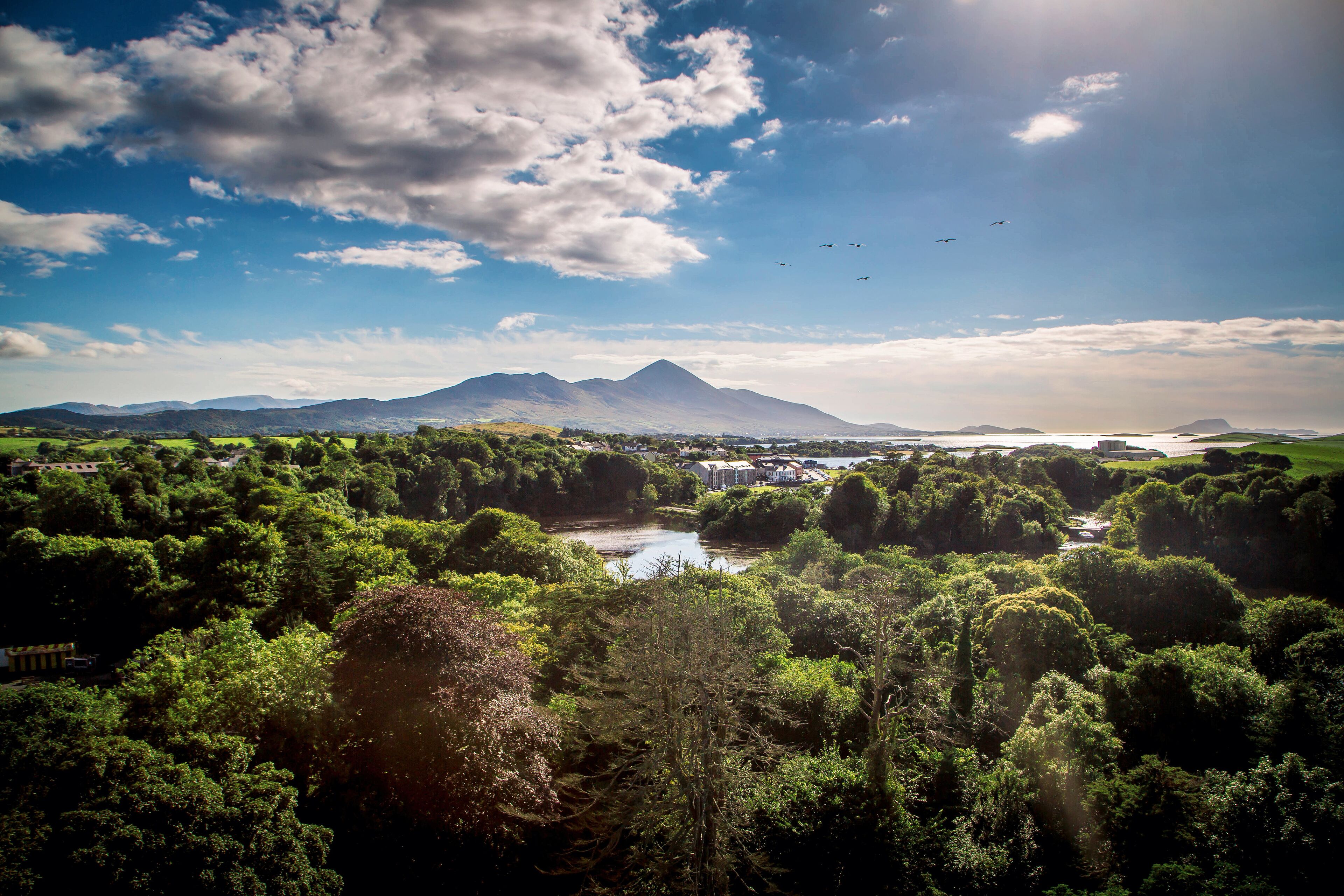 Un paisaje montañoso con un río, vegetación densa y cielo despejado.
