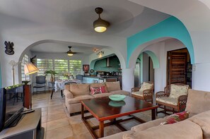 Smart TV, DVD player, books, video library