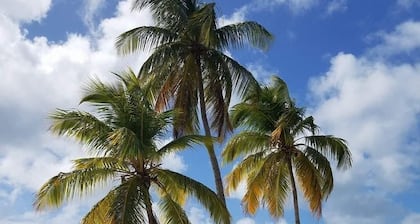 Wind Dancer - Beautiful Ocean View Condo