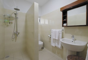 A bathroom with a shower, toilet, sink, and a mirror above the sink.