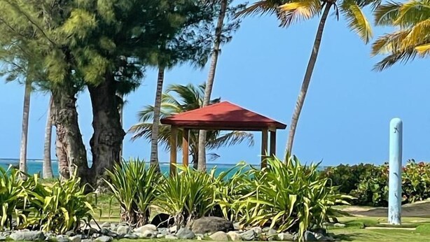 A gazebo with a red roof surrounded by tropical vegetation and palm trees. - RELAX APART IN SPECIAL RAIN FOREST ,BEACH ZONE (RIO GRANDE)