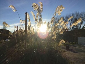 Property grounds - Stay in School by the Sea (Dunedin Area)