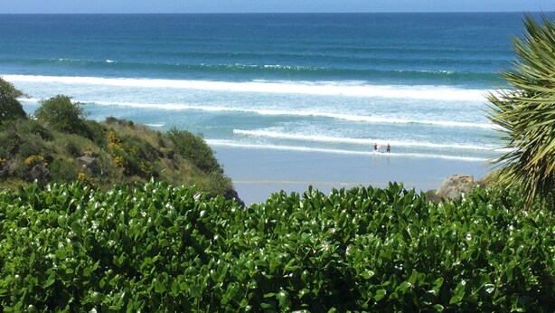 A coastal landscape with a beach, ocean waves, and dense greenery. - Stay in School by the Sea (Dunedin Area)