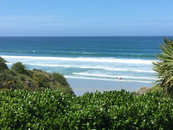 Beach nearby - Stay in School by the Sea (Dunedin Area)