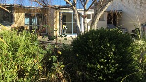 A residential house with a large tree in the front yard, a patio area, and a garage. - Stay in School by the Sea (Dunedin Area)