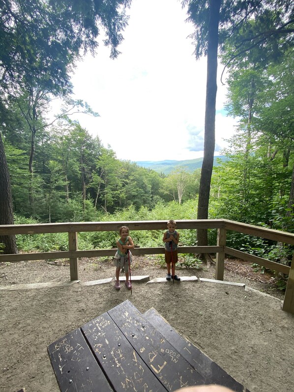 Property grounds - Game Room, 2 family rooms, on 3 levels, with a fenced yard and firewood provided (North Conway)