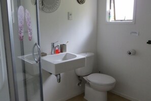 A bathroom with a glass shower enclosure, a white sink, and a toilet. - Kereru Cottage, tranquil and safe, close to Baddeleys Beach, Tawharanui (Matakana)