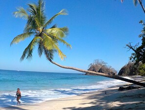 Beach nearby - Studio Apartment for Nature and Beach Lovers in Playa Blanca, Punta Leona (Punta Leona)