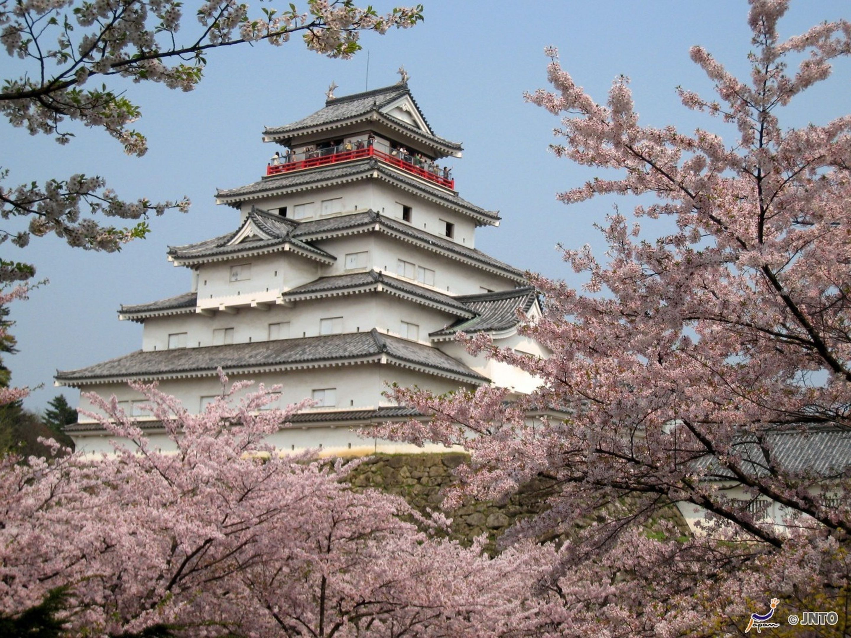 A traditional Japanese castle with multiple tiers and a red balcony, surrounded by cherry blossoms.