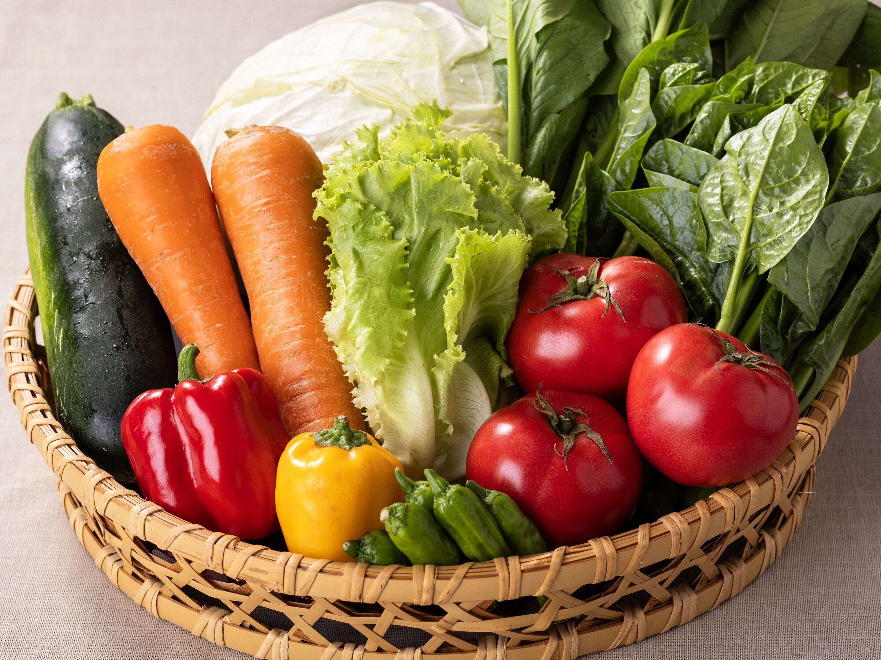 Un panier rempli de légumes frais, notamment des carottes, de la laitue, des tomates et des poivrons.