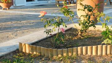 Enjoy a serene garden oasis with a patio, raised bed, and potted plant, perfect for relaxation.