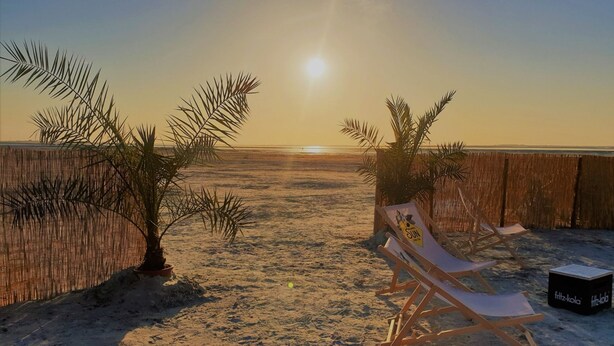 A beach with palm trees, a wooden fence, and a lounge chair. - The cottage in Taddigshörn - nordseereise-net (Esens)
