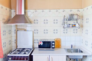 Apartment, Mehrere Betten, Stadtblick | Eigene Küche | Kühlschrank, Mikrowelle, Herdplatte, Wasserkocher