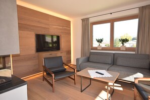 TV, fireplace