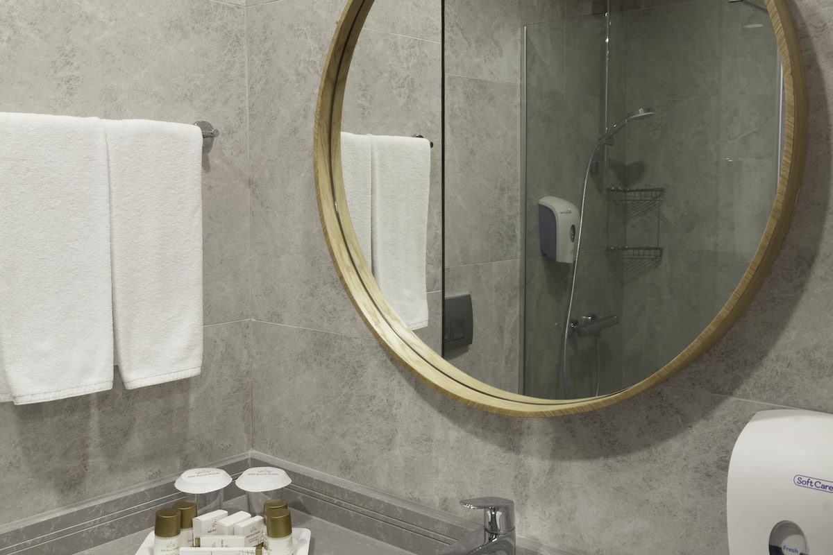 shower, free toiletries, hair dryer, towels