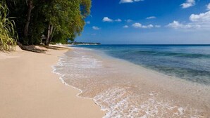 Una playa con agua cristalina, una orilla arenosa y árboles a lo largo de la costa.