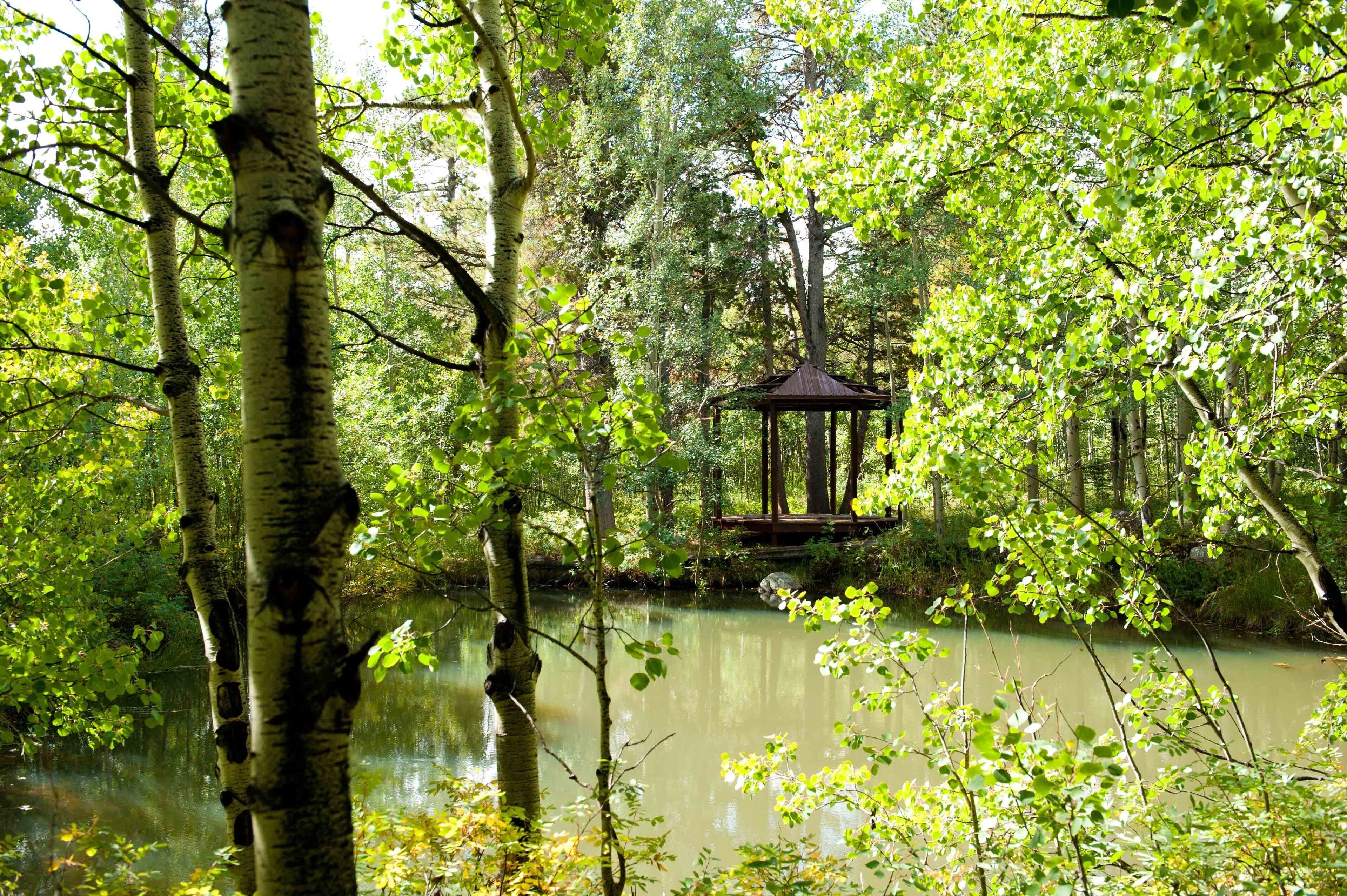 A gazebo in a forested area with a pond.
