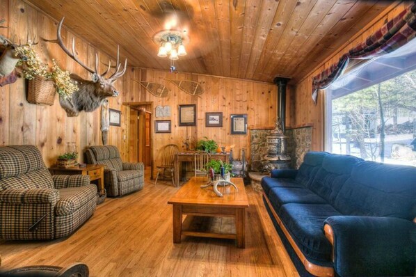 Smart TV, fireplace, DVD player, books