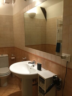 A bathroom with a sink, toilet, and mirror.