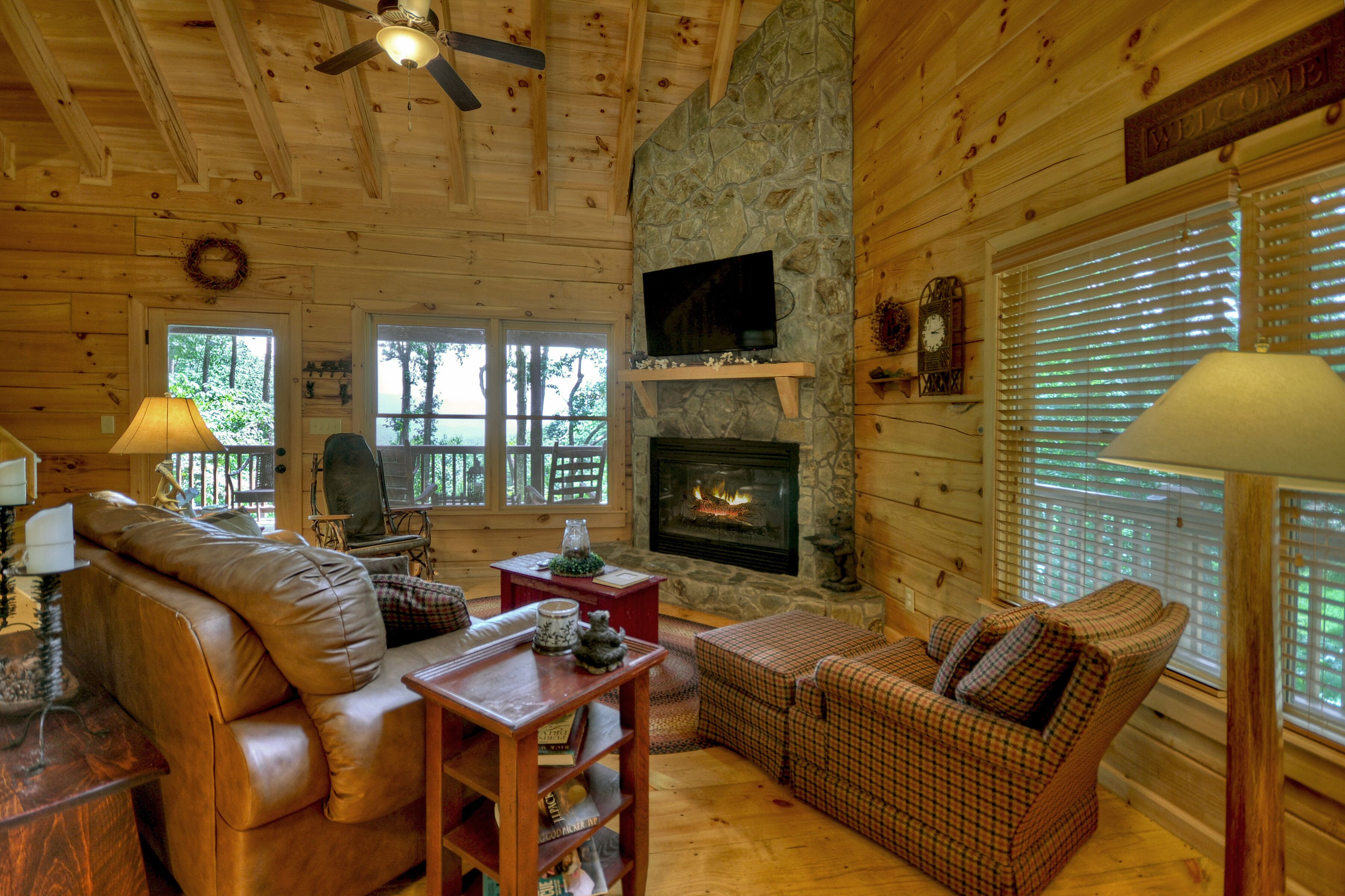 Smart TV, fireplace, books, music library