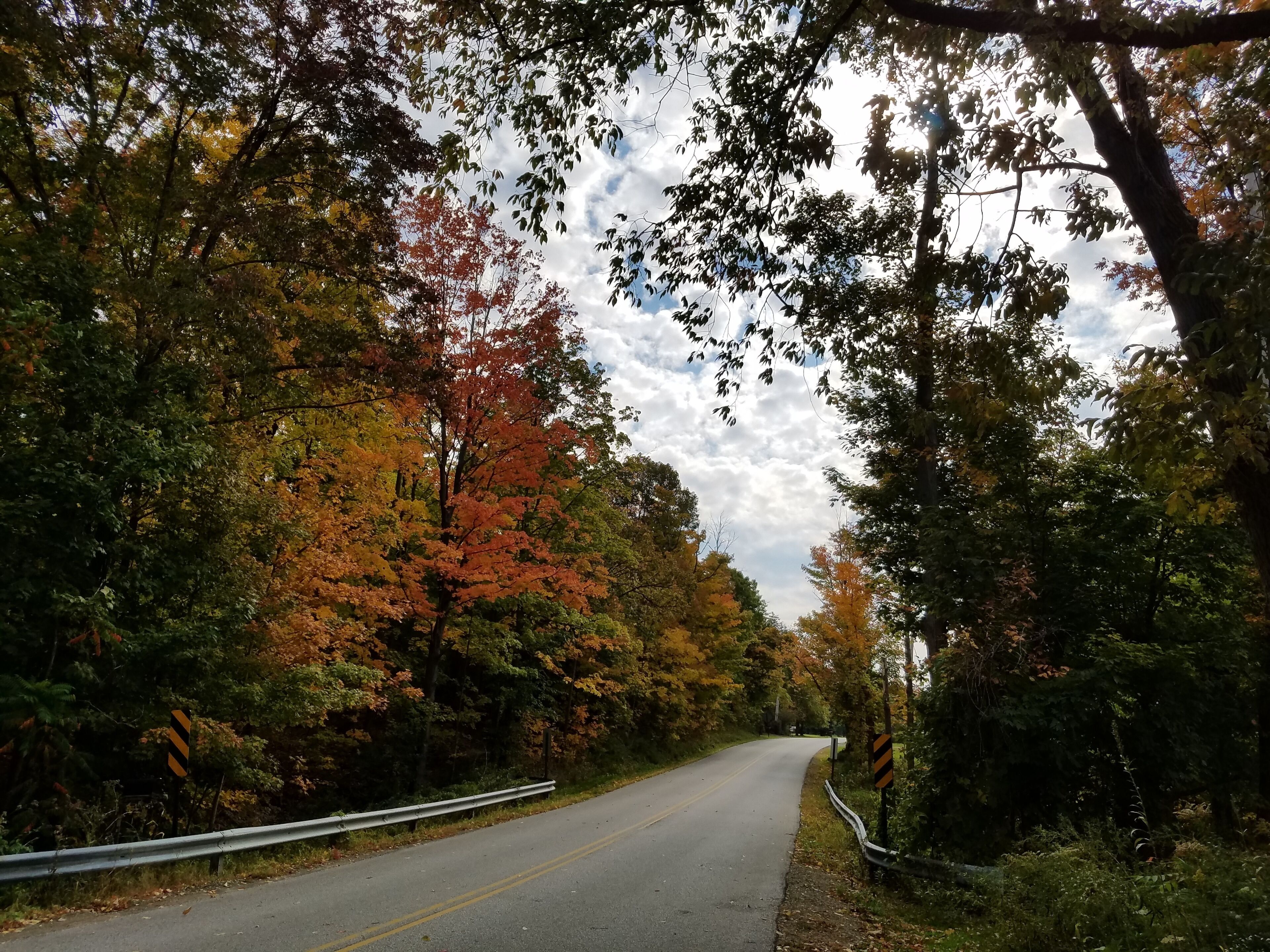 Eine Straße, gesäumt von Bäumen mit Herbstlaub, einer Schutzplanke und einem wolkenlosen Himmel.