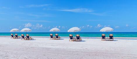 بالقرب من الشاطئ