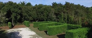 Taman