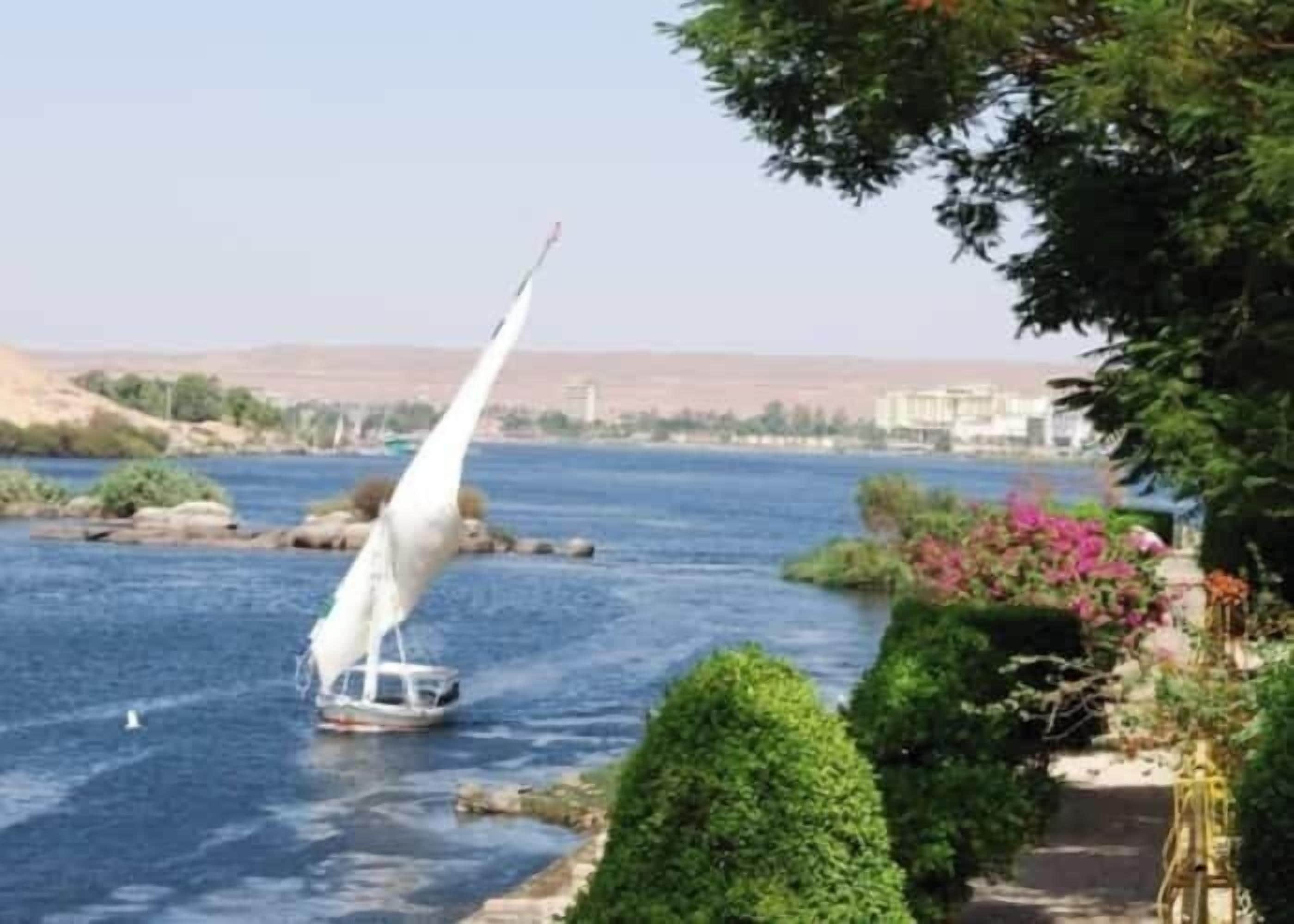 Foto - Shady Hotel Luxor