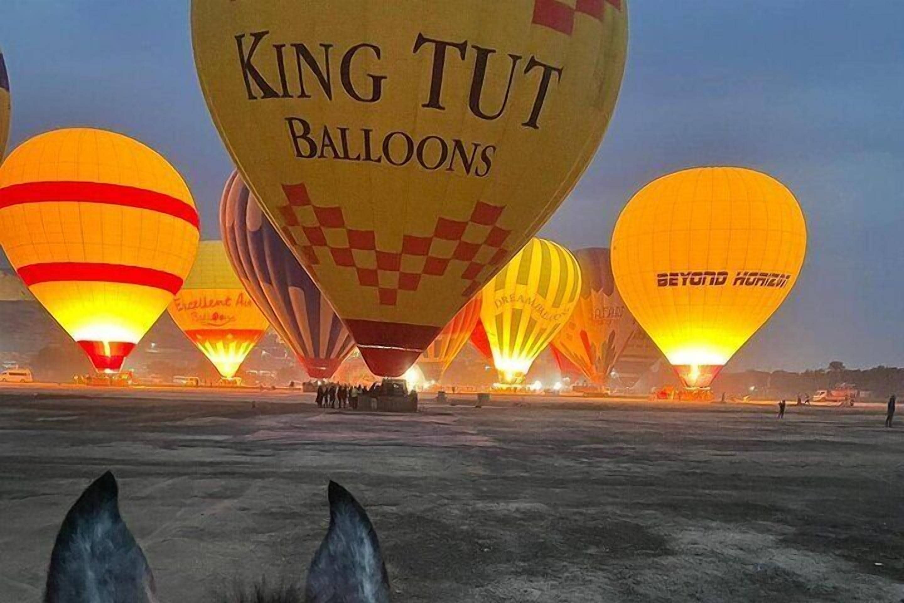 Globos aerostáticos en un aeródromo, con la marca "King Tut Balloons" y "Beyond Horizon".