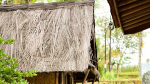 A thatched-roof structure with a wooden deck leading to a small building. - Cianjur Paddies Hostel (Cianjur)