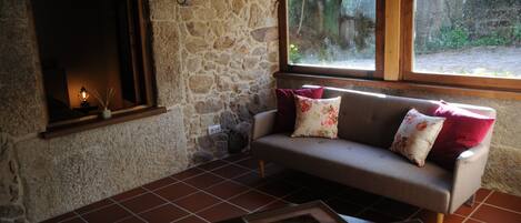 TV, fireplace, books