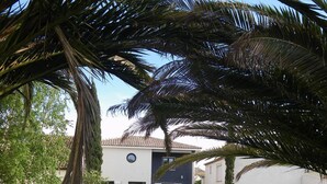 A gravel pathway leading to a building with a modern design, surrounded by lush greenery and palm trees. - Les Algues du Grau (Agde)