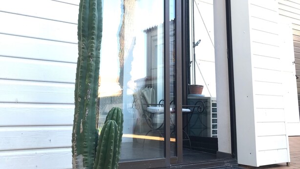 A cactus in a terracotta pot on a patio with a white building in the background. - Les Algues du Grau (Agde)