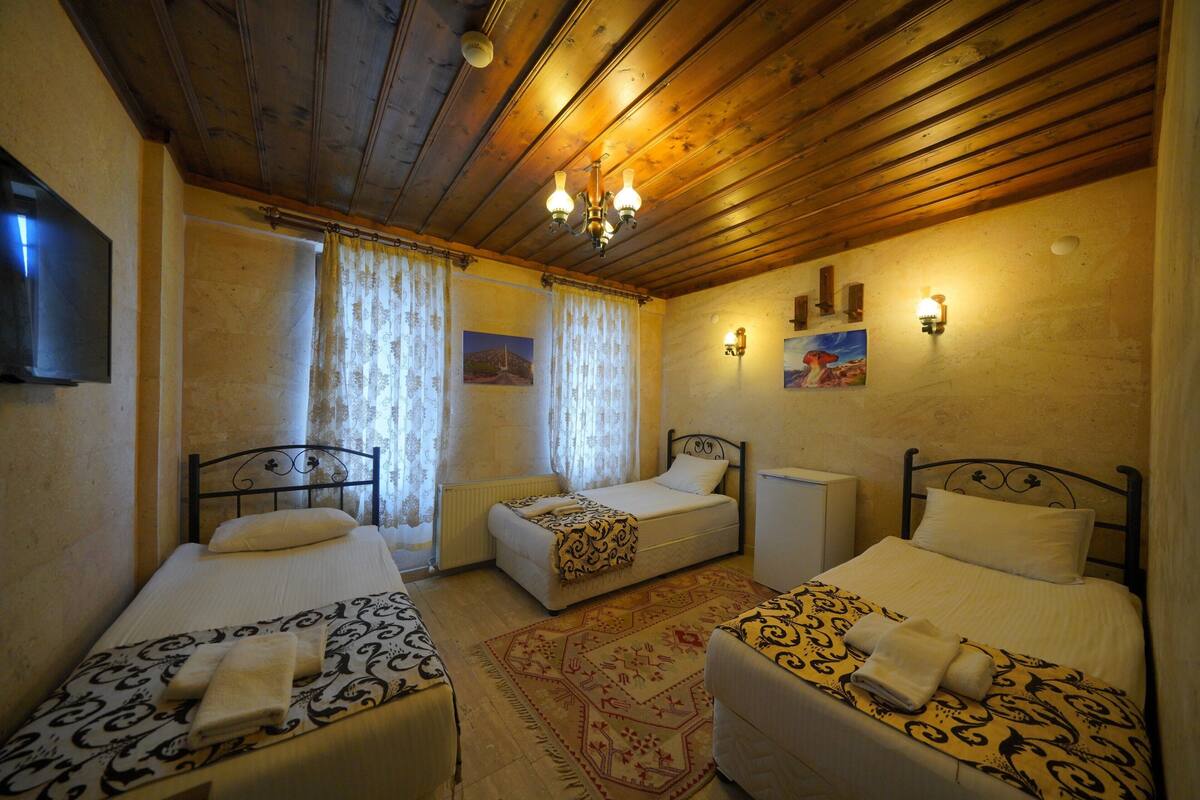 A room with two single beds, a wooden ceiling, a flat-screen TV, and a painting on the wall.