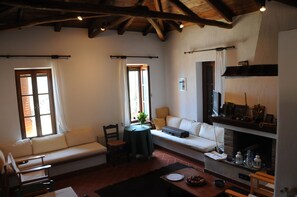 TV, fireplace, books, offices