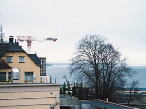 Superior-huoneisto, 1 makuuhuone, sauna, järvinäköala | Näkymä huoneesta