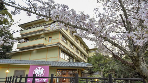 A traditional Japanese building with a multi-tiered structure and a signboard in front. - Miyajima MorinoYado Inn (Hatsukaichi)