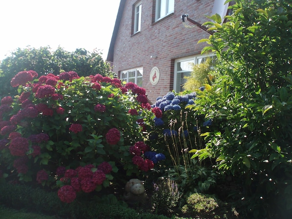 Unclassified image, 1 of 21, button - Vacation apartment 1, Guesthouse Strandmuschel - Guesthouse Strandmuschel (Esens)