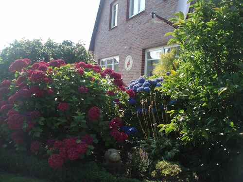 Vacation apartment 1, Guesthouse Strandmuschel - Guesthouse Strandmuschel