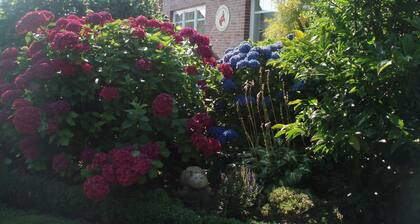 Vacation apartment 1, Guesthouse Strandmuschel - Guesthouse Strandmuschel