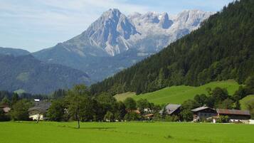 A rural landscape with a mountain, houses, and green fields.