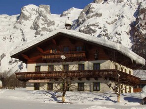 Exterior - Apartment Edelweiss-Olgurt (Weng)