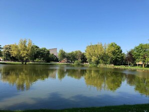 Unclassified image, 5 of 25, button