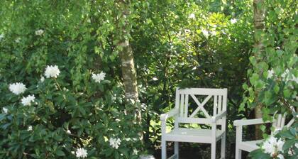 Apartment 6, guesthouse Strandmuschel - Gästehaus Strandmuschel