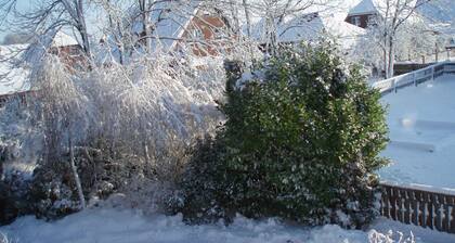 Single room 5, guesthouse Strandmuschel - Gästehaus Strandmuschel