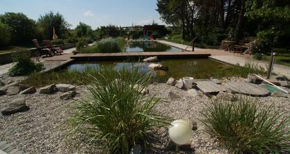 Accommodation close to the center with in-house swimming pond and wonderful castle view