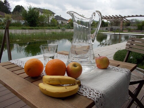 Accommodation close to the center with in-house swimming pond and wonderful castle view