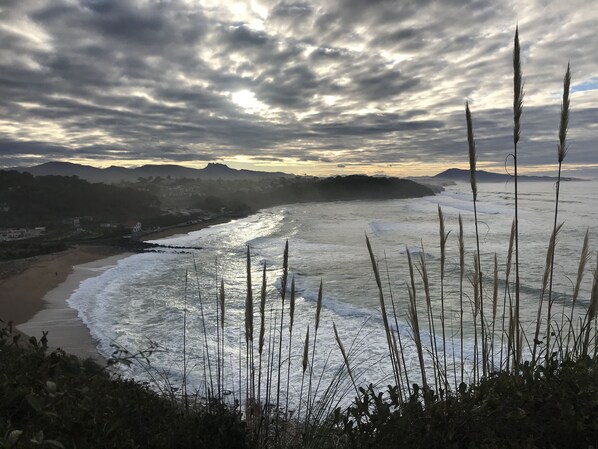 Playa en los alrededores