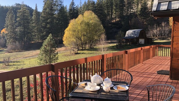 A wooden deck with a table set for tea, surrounded by chairs, overlooking a forested landscape.