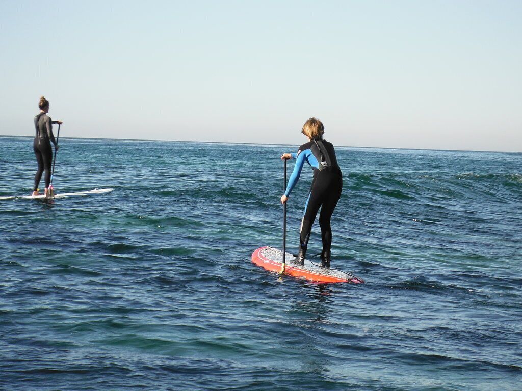 Deux personnes pratiquent le paddle sur une mer calme.